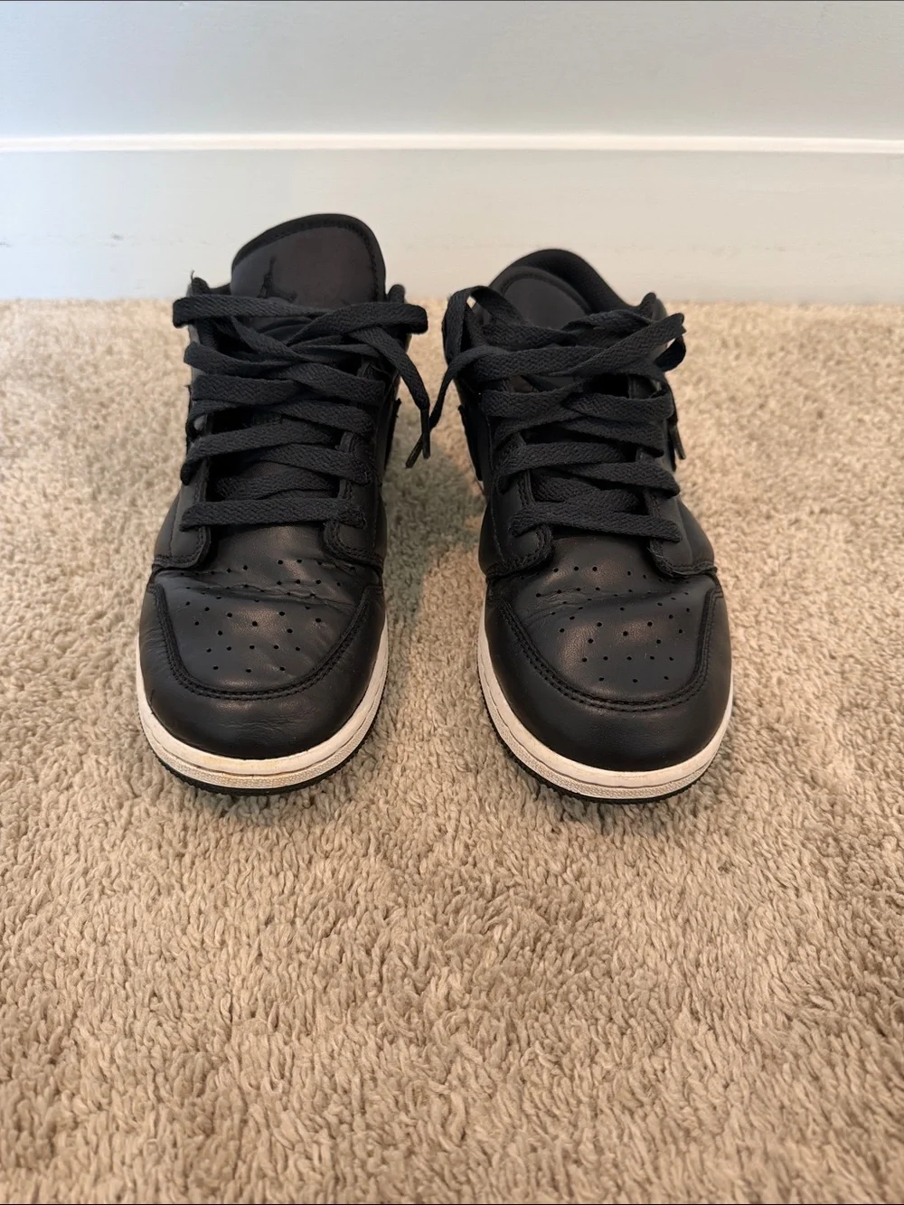 Nike Air Jordan 1 Low SE 